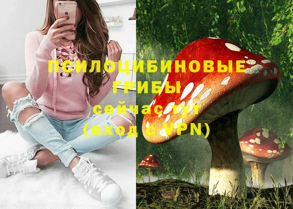 герыч Алексин